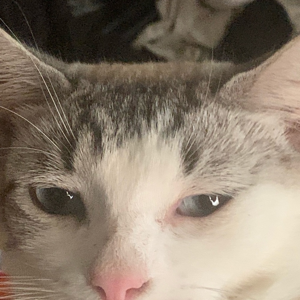 Meet your Posher, Leanna